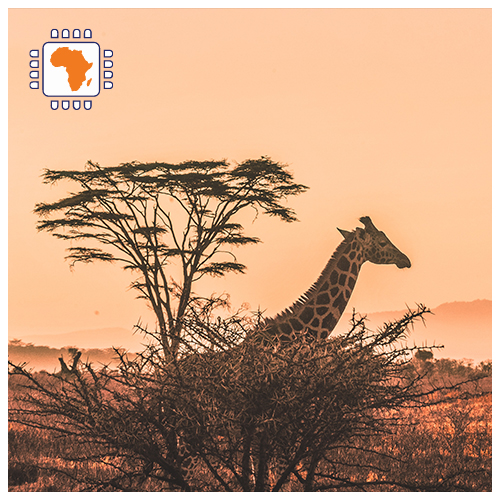 Afrika opwaarderen 3GB (15 dagen)