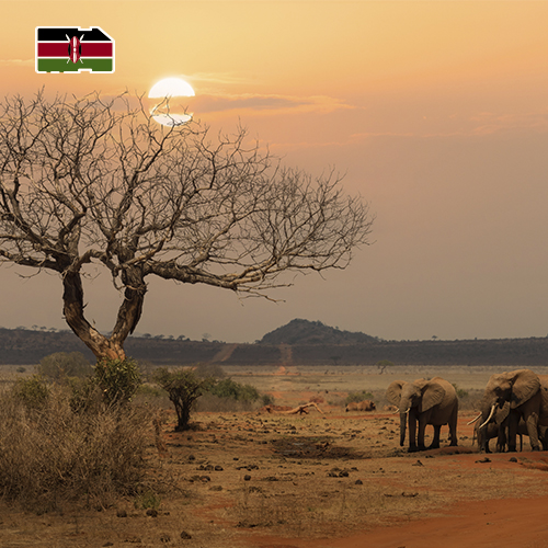 Data Simkaart Kenia - Onbeperkt (30 dagen)