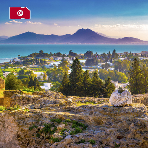 Data SIM Card Tunisia 3GB (15 days)