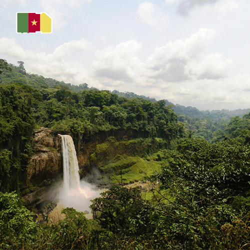 Daten-SIM-Karte Kamerun - 3GB