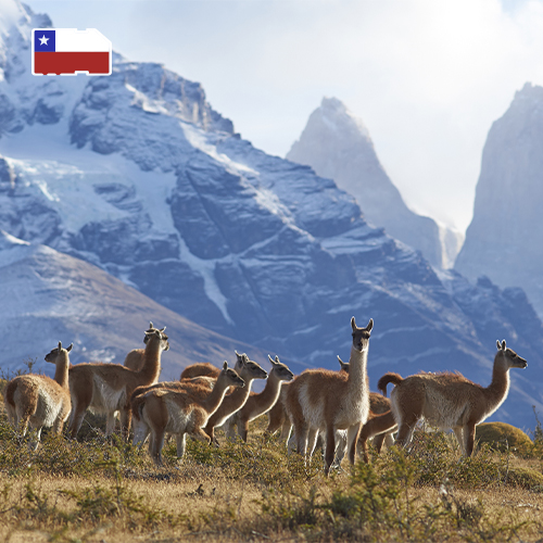 Daten-SIM-Karte Chile 25 GB (30 Tage)