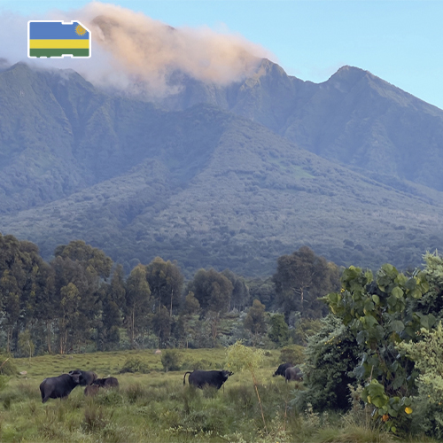 Rwanda opwaarderen 3GB (15 dagen)